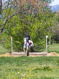 IMG_1081 IMG_1081