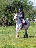 IMG_1086 IMG_1086
