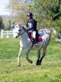 IMG_1088 IMG_1088