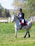IMG_1089 IMG_1089