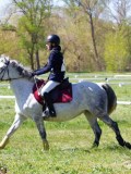 IMG_1095 IMG_1095