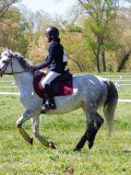 IMG_1097 IMG_1097
