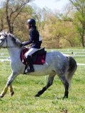 IMG_1098 IMG_1098