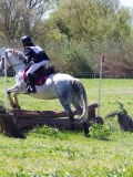 IMG_1101 IMG_1101