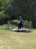 IMG_3974 IMG_3974