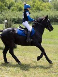 IMG_3978 IMG_3978