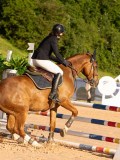 DSC03975 DSC03975