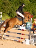 DSC03978 DSC03978