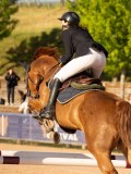 DSC03994 DSC03994