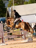 DSC03995 DSC03995
