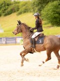 DSC02678 DSC02678