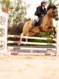 DSC01440 DSC01440