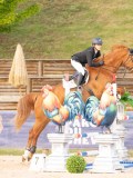 DSC06954 DSC06954