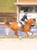 DSC06955 DSC06955
