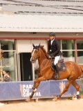 DSC01549 DSC01549