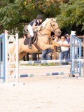 DSC09468 DSC09468