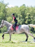 DSC08154 DSC08154