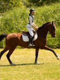 DSC00585 DSC00585