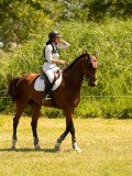 DSC00603