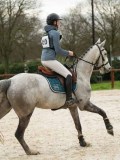 DSC04743 DSC04743