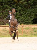 DSC00868 DSC00868