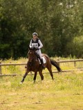DSC04533 DSC04533