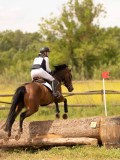 DSC04540 DSC04540