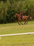 DSC08464