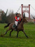 IMG_0493 IMG_0493