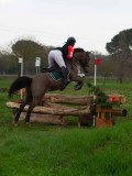 IMG_0501 IMG_0501