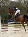 DSC04764 DSC04764