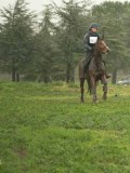 DSC05796 DSC05796