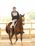 DSC07468 DSC07468