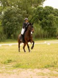 DSC08577 DSC08577