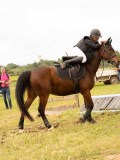 DSC08585 DSC08585