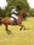 DSC08588 DSC08588
