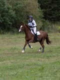 IMG_3508 IMG_3508