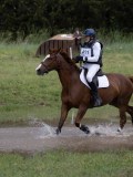 IMG_3510 IMG_3510
