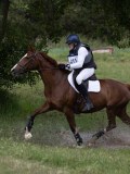 IMG_3511 IMG_3511