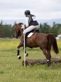 IMG_3513 IMG_3513