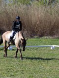 IMG_1551