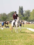 DSC08701