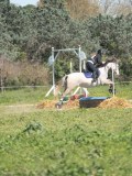 24_05891 24_05891