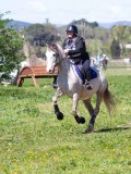 IMG_1133 IMG_1133
