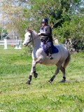 IMG_1135 IMG_1135