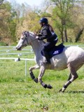 IMG_1145 IMG_1145