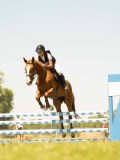 DSC00424 DSC00424