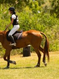 DSC00426 DSC00426