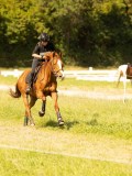 DSC01323 DSC01323