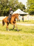 DSC01324 DSC01324